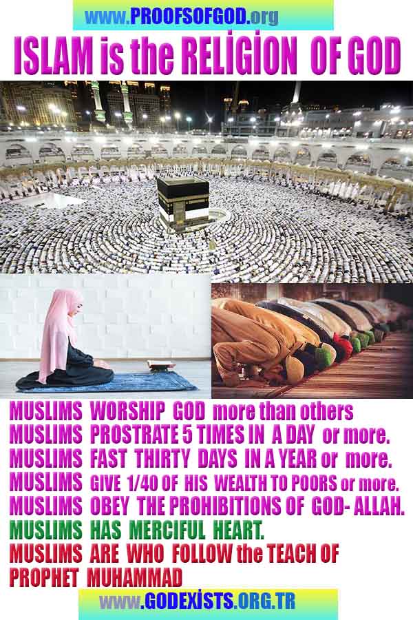 god's existance, proof