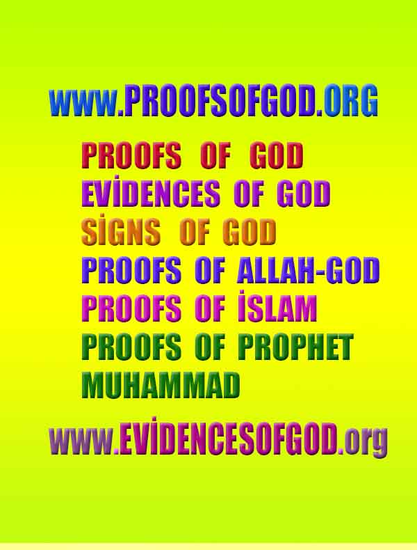 god is real evidences and proofs