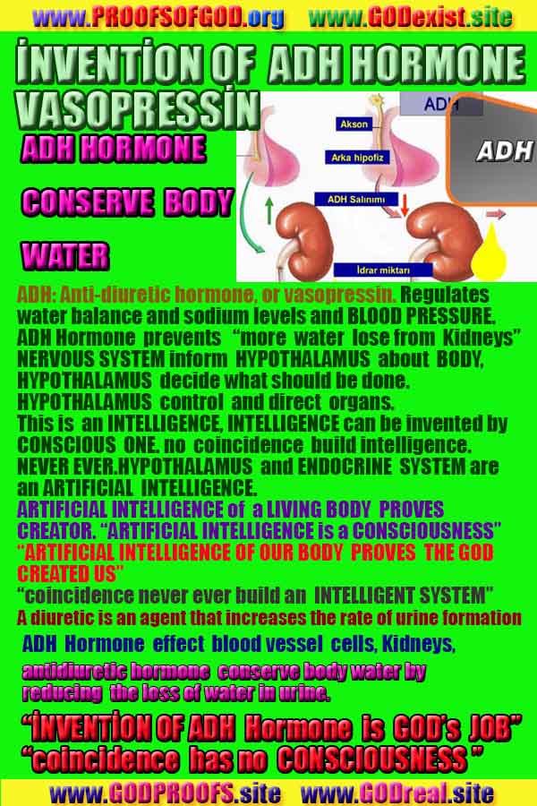 evidences and proofs god exists and real 