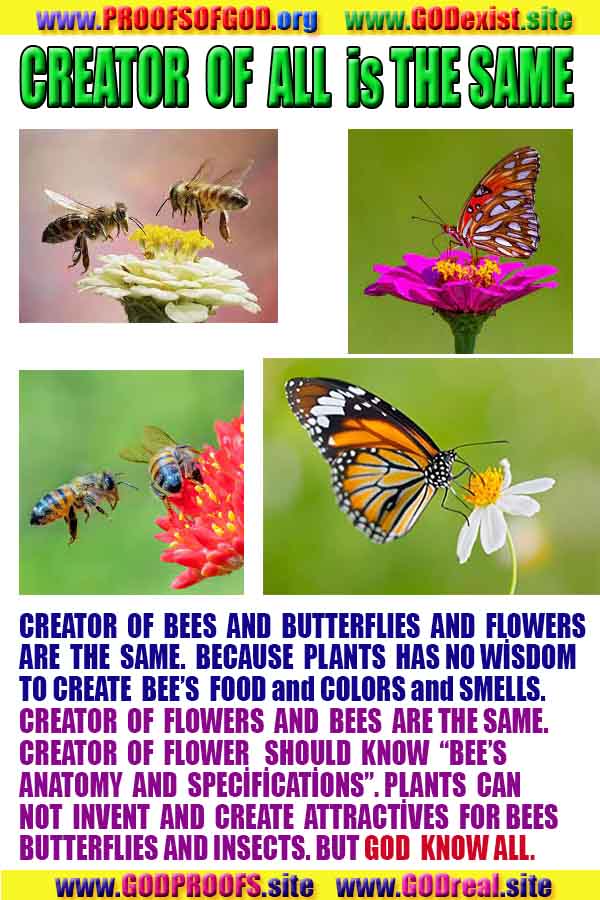 god's existance, proof