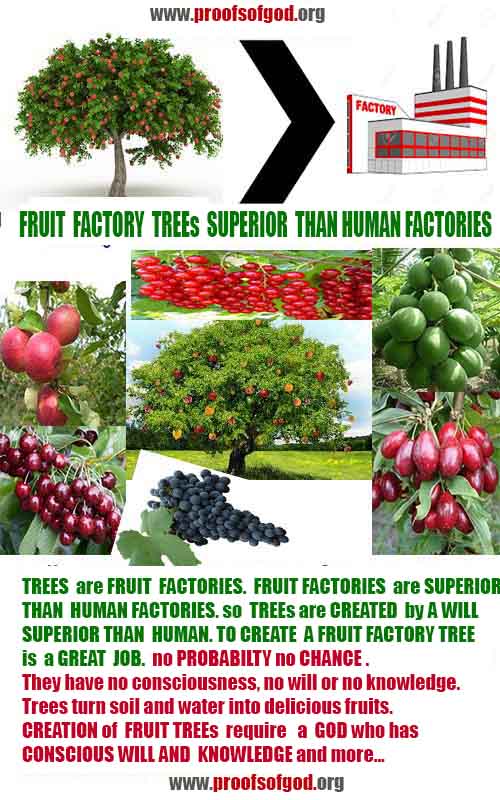 god is real evidences and proofs